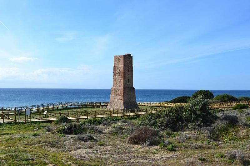 Los Arbolitos